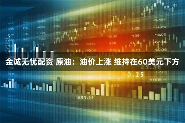 金诚无忧配资 原油：油价上涨 维持在60美元下方