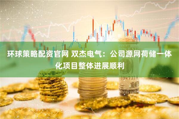 环球策略配资官网 双杰电气：公司源网荷储一体化项目整体进展顺利