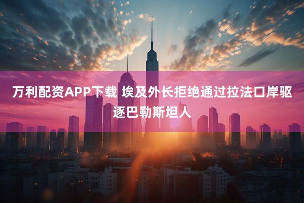 万利配资APP下载 埃及外长拒绝通过拉法口岸驱逐巴勒斯坦人