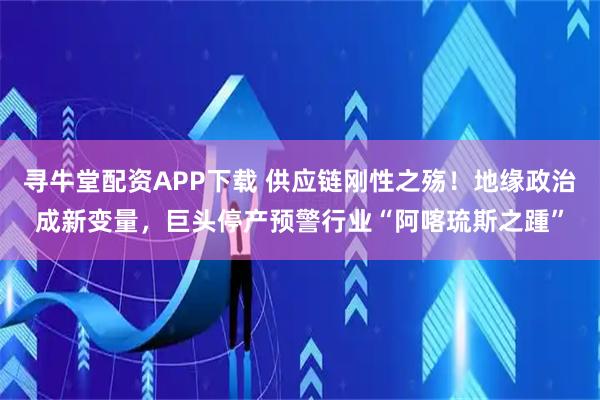 寻牛堂配资APP下载 供应链刚性之殇！地缘政治成新变量，巨头停产预警行业“阿喀琉斯之踵”