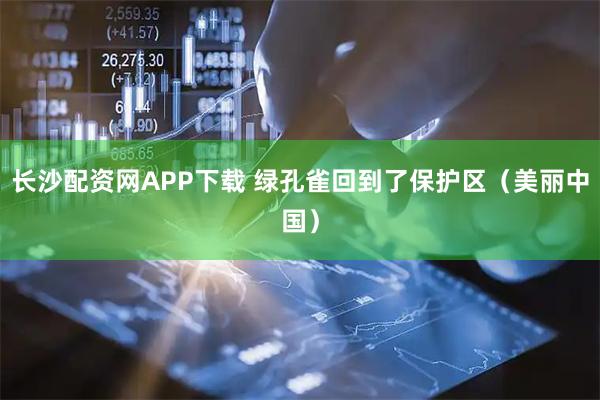 长沙配资网APP下载 绿孔雀回到了保护区（美丽中国）