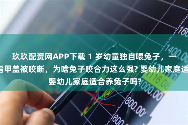 玖玖配资网APP下载 1 岁幼童独自喂兔子，一节食指带着指甲盖被咬断，为啥兔子咬合力这么强? 婴幼儿家庭适合养兔子吗?