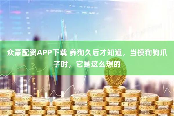 众豪配资APP下载 养狗久后才知道，当摸狗狗爪子时，它是这么想的