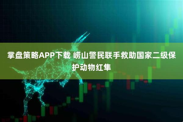 掌盘策略APP下载 崂山警民联手救助国家二级保护动物红隼