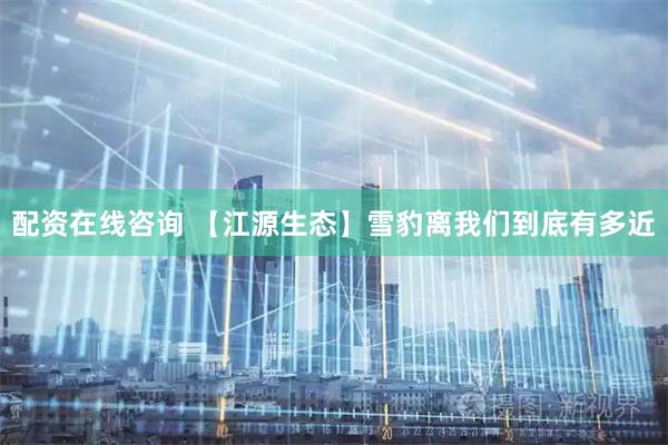 配资在线咨询 【江源生态】雪豹离我们到底有多近